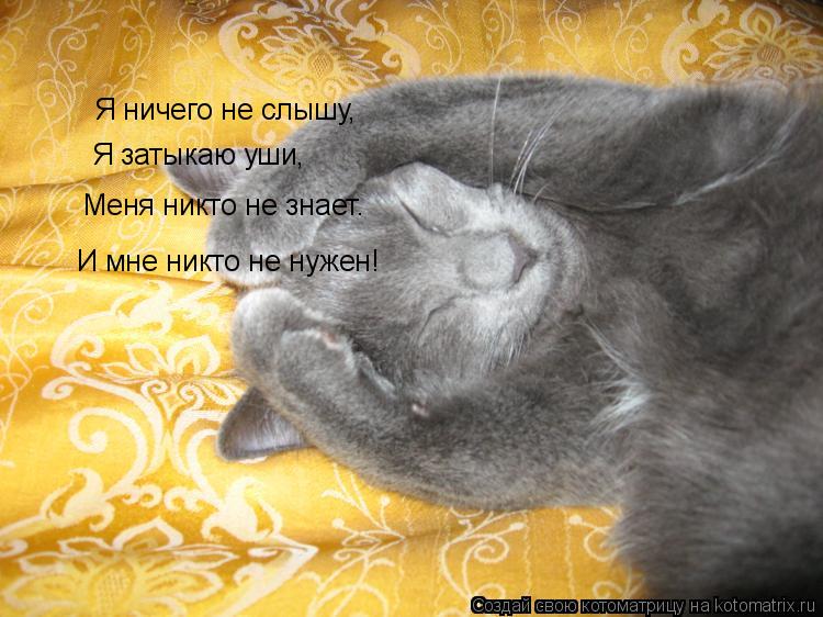 Я ничего не слышу, Я ничего не слышу, Я затыкаю уши, Меня никто не знает. И мне никто не нужен!... Котоматрица: Я ничего не слышу, Я ничего не слышу, Я затыкаю уши, Меня никто не знает. И мне никто не нужен!