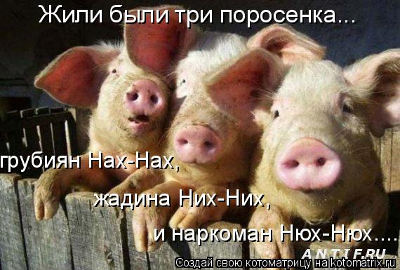 Котоматрица: Жили были три поросенка... грубиян Нах-Нах, жадина Них-Них, и наркоман Нюх-Нюх....