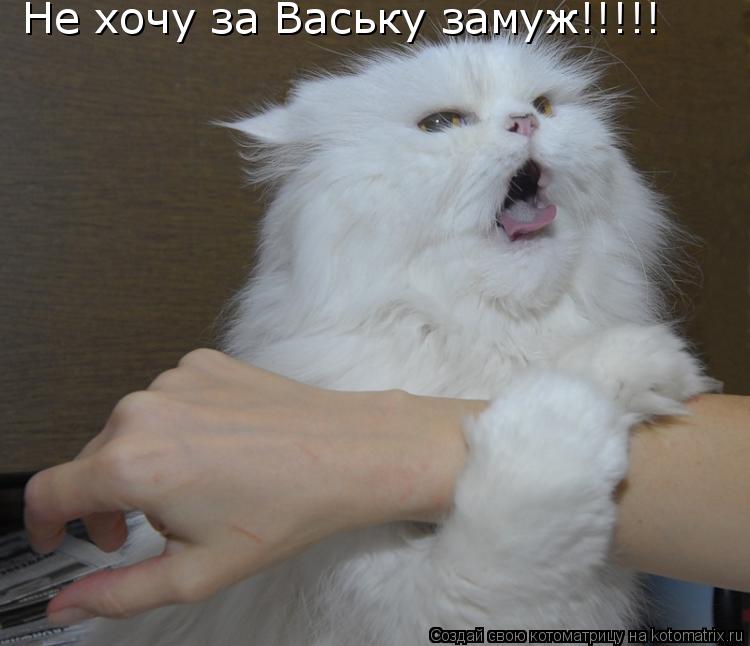 Котоматрица: Не хочу за Ваську замуж!!!!!