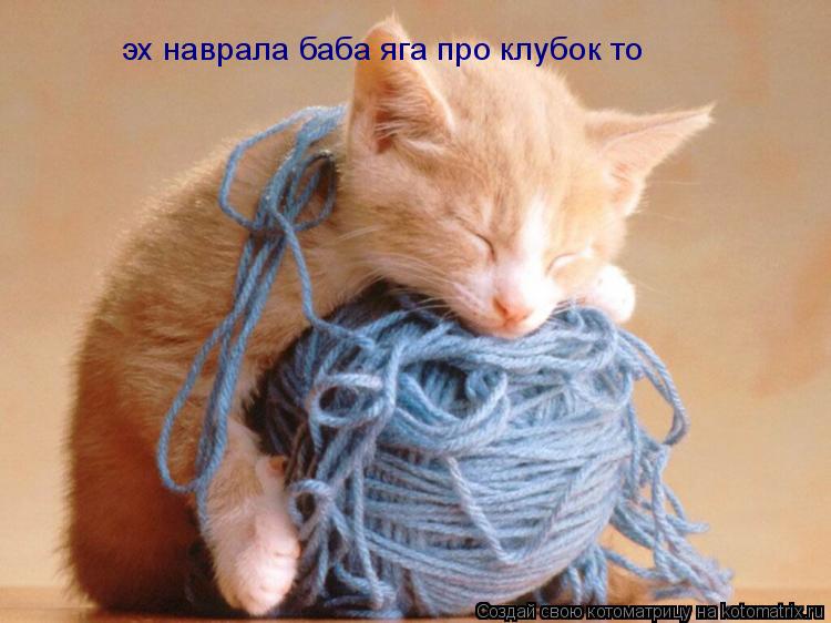 эх наврала баба яга про клубок то... Котоматрица: эх наврала баба яга про клубок то