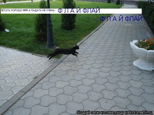 Котоматрица: Ф Л А Й ФЛАЙ Ф Л А Й ФЛАЙ