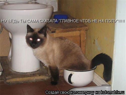 НУ ВЕДЬ ТЫ САМА СКАЗАЛА "ГЛАВНОЕ ЧТОБ НЕ НА ПОЛУ"!!!!!... Котоматрица: НУ ВЕДЬ ТЫ САМА СКАЗАЛА "ГЛАВНОЕ ЧТОБ НЕ НА ПОЛУ"!!!!!