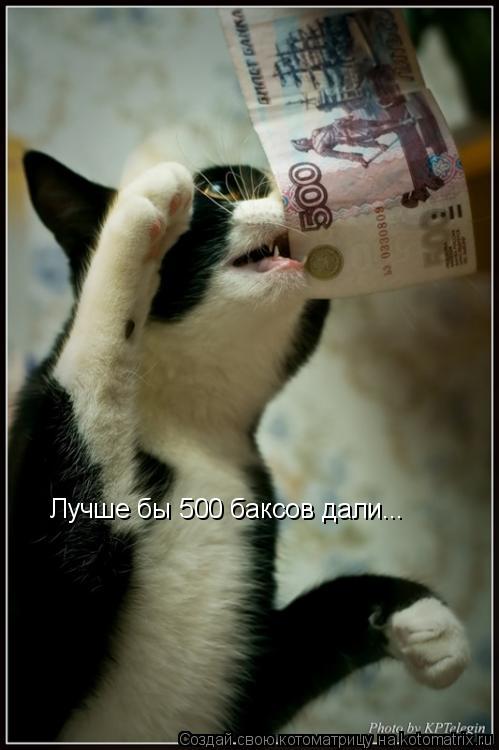 Лучше бы 500 баксов дали...... Котоматрица: Лучше бы 500 баксов дали...