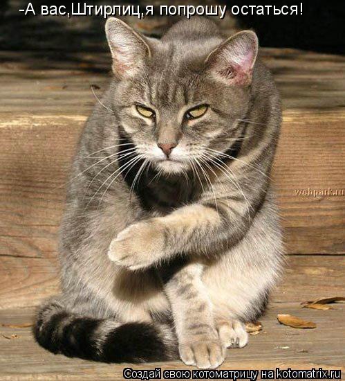 -А вас,Штирлиц,я попрошу остаться!... Котоматрица: -А вас,Штирлиц,я попрошу остаться!