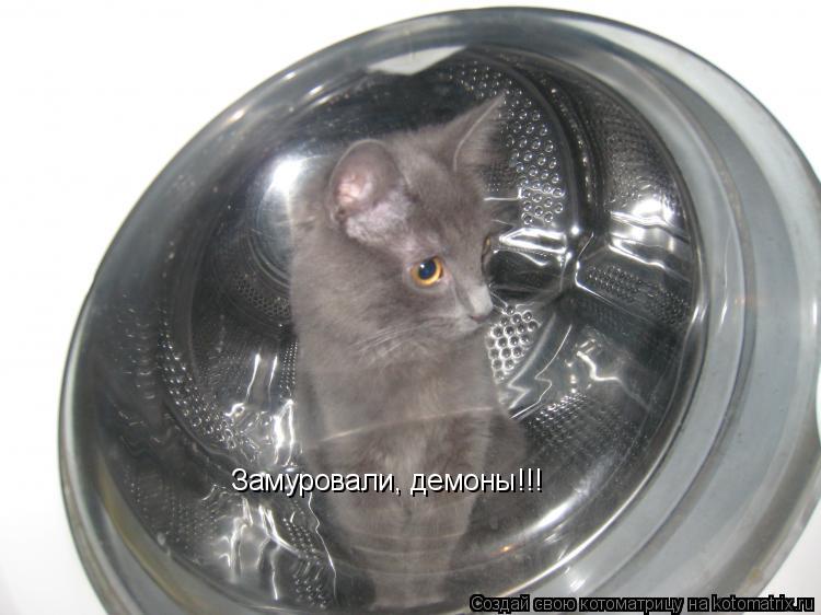 Замуровали, демоны!!!... Котоматрица: Замуровали, демоны!!!