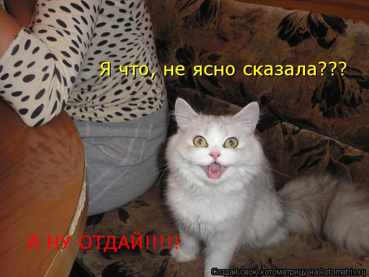 Я что, не ясно сказала??? А НУ ОТДАЙ!!!!!... Котоматрица: Я что, не ясно сказала??? А НУ ОТДАЙ!!!!!