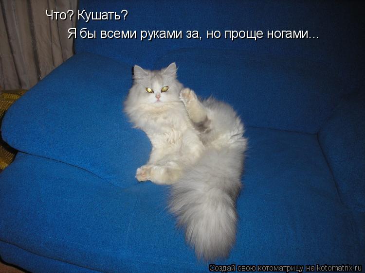 Котоматрица: Что? Кушать? Я бы всеми руками за, но проще ногами...