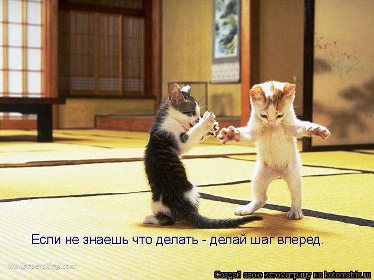 Если не знаешь что делать - делай шаг вперед.... Котоматрица: Если не знаешь что делать - делай шаг вперед.