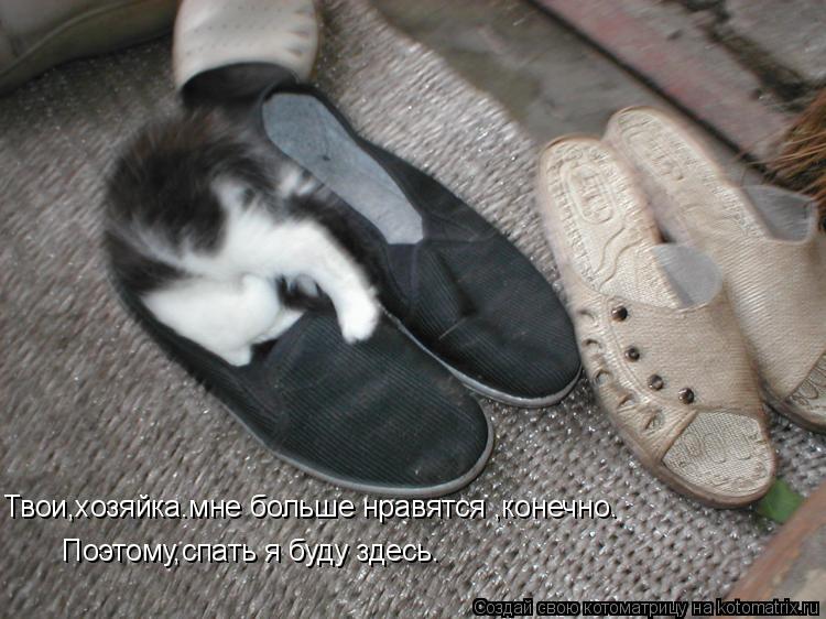 Котоматрица: Твои,хозяйка.мне больше нравятся ,конечно. Поэтому,спать я буду здесь.