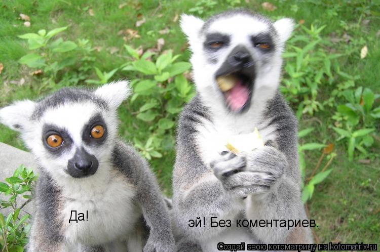 Котоматрица: эй! Без коментариев. Да!