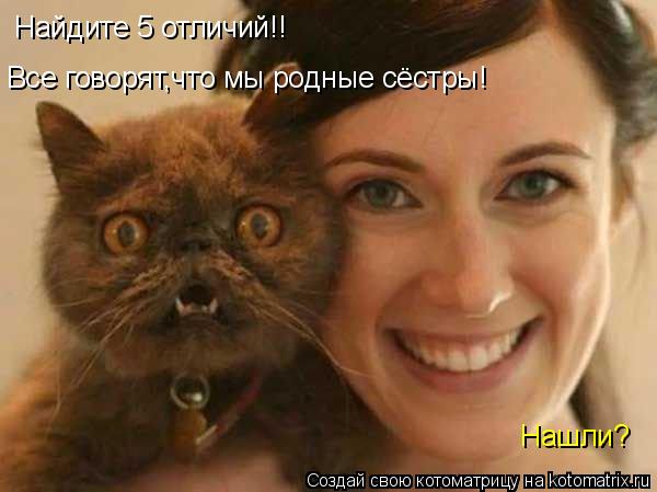Найдите 5 отличий!! Нашли? Все говорят,что мы родные сёстры!... Котоматрица: Найдите 5 отличий!! Нашли? Все говорят,что мы родные сёстры!
