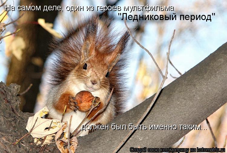 На самом деле, один из героев мультфильма должен был быть именно таким... "Ледниковый период"... Котоматрица: На самом деле, один из героев мультфильма должен был быть именно таким... "Ледниковый период"