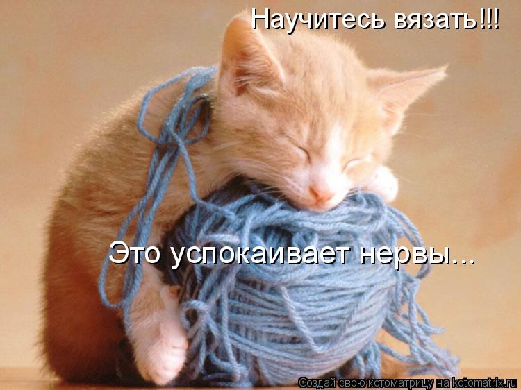 Котоматрица: Научитесь вязать!!! Это успокаивает нервы...