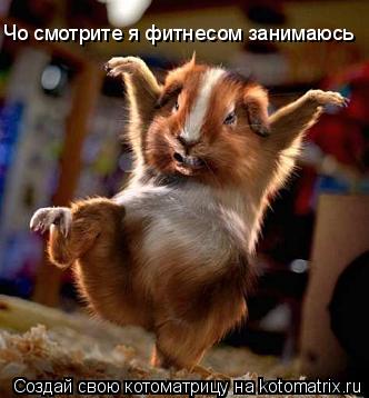 Чо смотрите я фитнесом занимаюсь... Котоматрица: Чо смотрите я фитнесом занимаюсь
