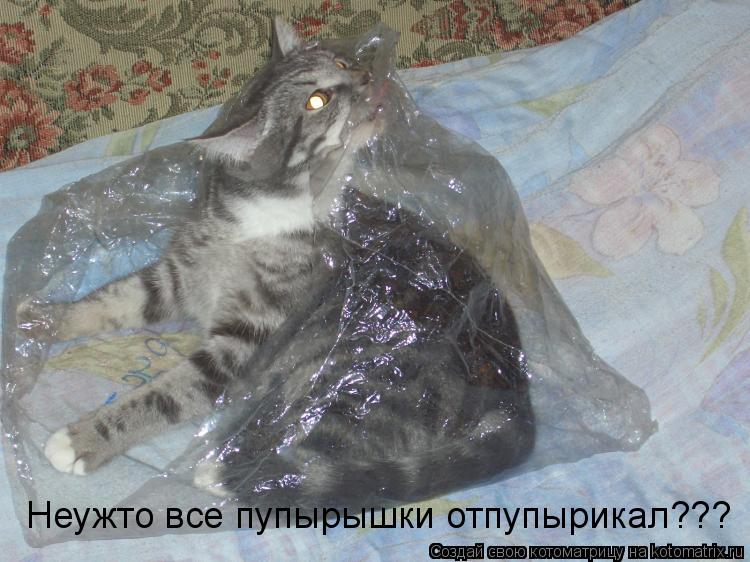 Котоматрица: Неужто все пупырышки отпупырикал???