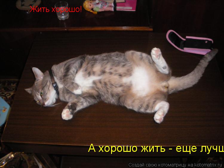 Котоматрица: Жить хорошо! А хорошо жить - еще лучше!
