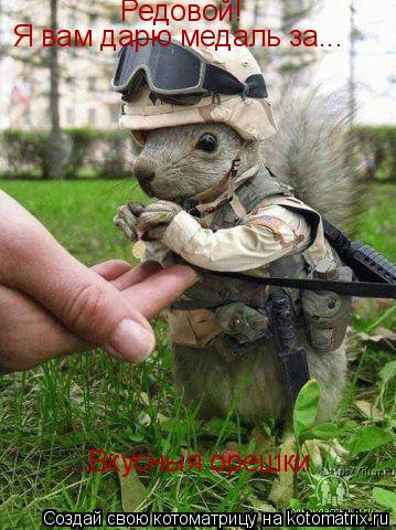 Котоматрица: Редовой! Я вам дарю медаль за... ...Вкусныя орешки