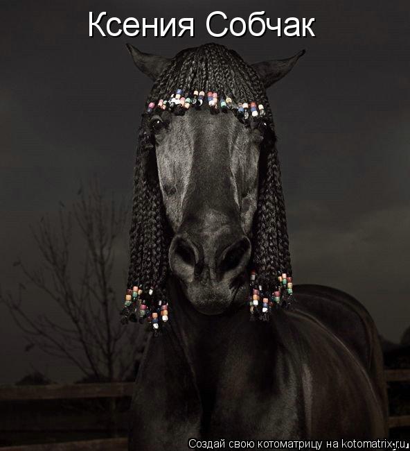 Котоматрица: Ксения Собчак