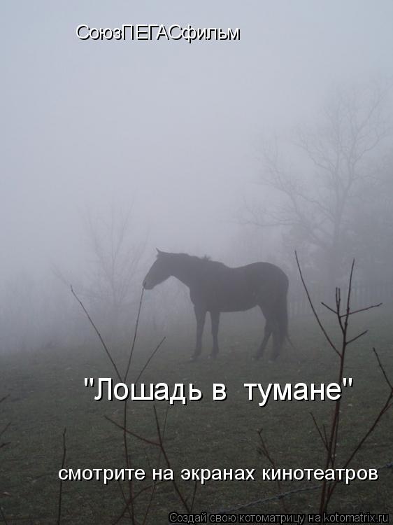Котоматрица: СоюзПЕГАСфильм  "Лошадь в  тумане" смотрите на экранах кинотеатров