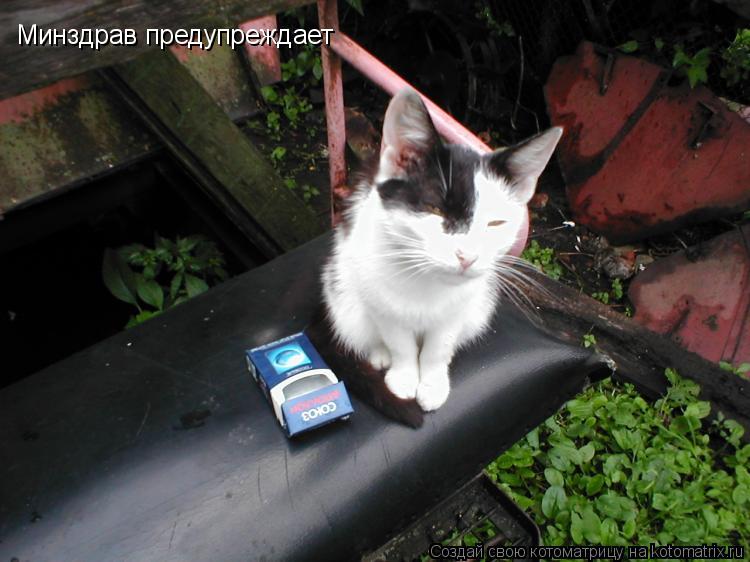 Котоматрица: Минздрав предупреждает