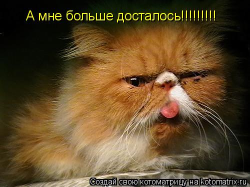 Котоматрица: А мне больше досталось!!!!!!!!!