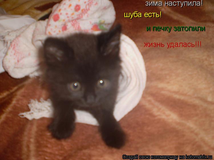 Котоматрица: зима наступила! шуба есть! и печку затопили жизнь удалась!!!