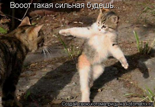 Котоматрица: Вооот такая сильная будешь...