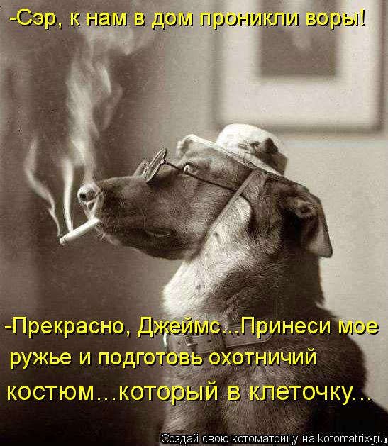 Котоматрица: -Сэр, к нам в дом проникли воры! -Прекрасно, Джеймс...Принеси мое  ружье и подготовь охотничий  костюм...который в клеточку...