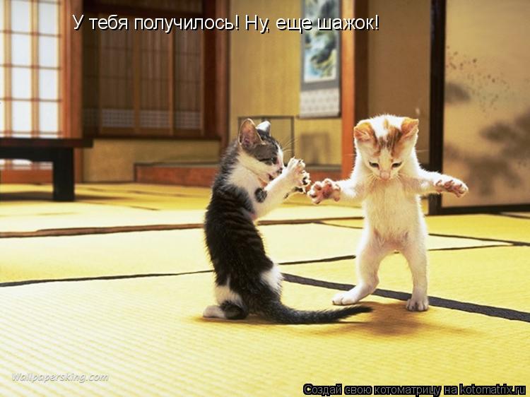 У тебя получилось! Ну, еще шажок!... Котоматрица: У тебя получилось! Ну, еще шажок!