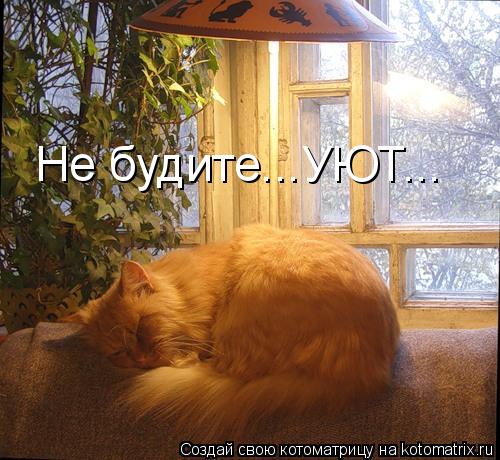 Котоматрица: Не будите...УЮТ...