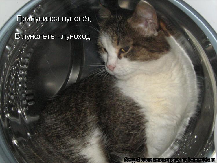 Прилунился лунолёт, В лунолёте - луноход... Котоматрица: Прилунился лунолёт, В лунолёте - луноход