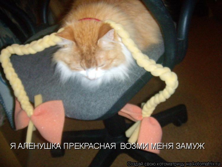 Я АЛЕНУШКА ПРЕКРАСНАЯ ВОЗМИ МЕНЯ ЗАМУЖ... Котоматрица: Я АЛЕНУШКА ПРЕКРАСНАЯ ВОЗМИ МЕНЯ ЗАМУЖ