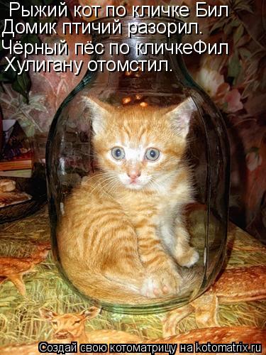 Рыжий кот по кличке Бил Домик птичий разорил. Чёрный пёс по кличкеФил Хулигану отомстил.... Котоматрица: Рыжий кот по кличке Бил Домик птичий разорил. Чёрный пёс по кличкеФил Хулигану отомстил.