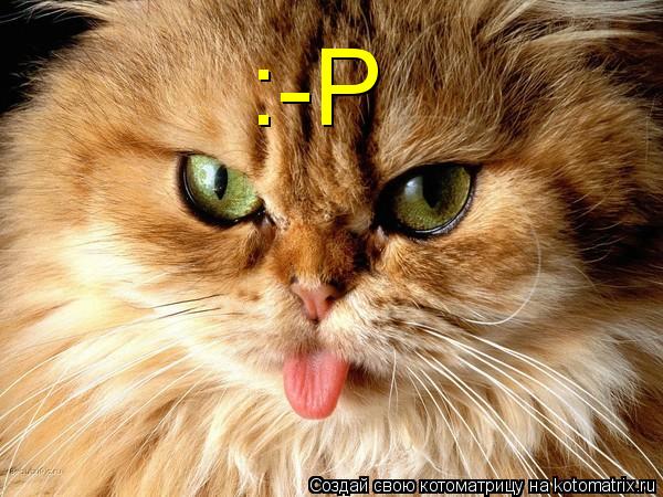 Котоматрица: :-P