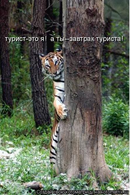 турист-это я! а ты--завтрак туриста!... Котоматрица: турист-это я! а ты--завтрак туриста!