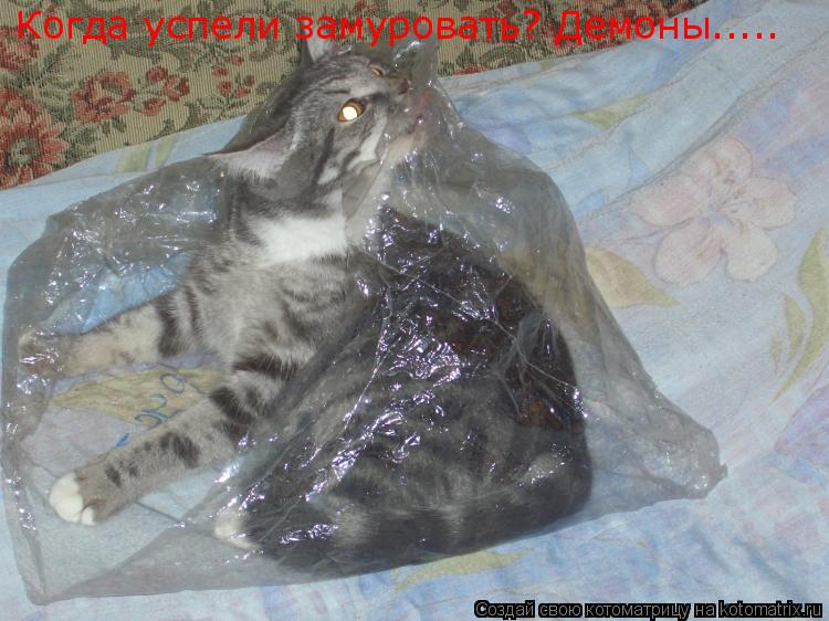 Котоматрица: Когда успели замуровать? Демоны.....