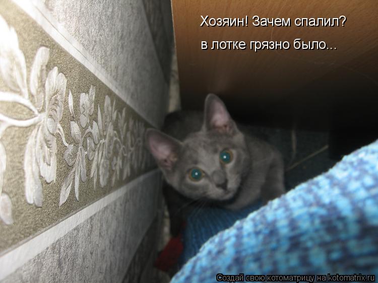 Котоматрица: Хозяин! Зачем спалил? в лотке грязно было...