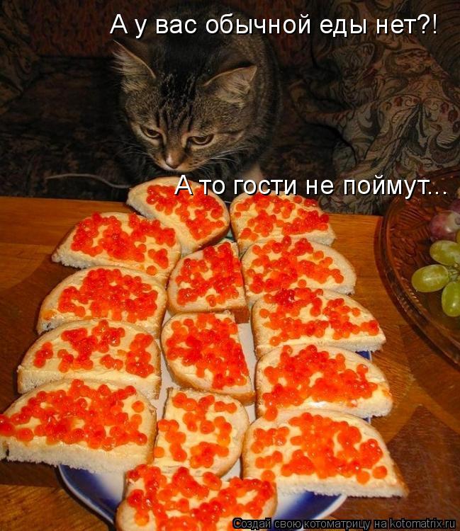 Котоматрица: А у вас обычной еды нет?! А у вас обычной еды нет?! А то гости не поймут...
