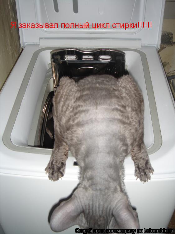Котоматрица: Я заказывал полный цикл стирки!!!!!!