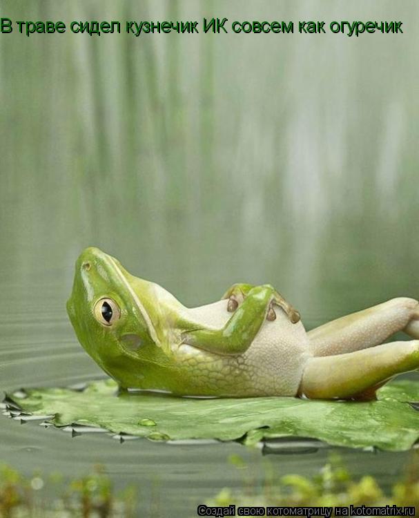 Котоматрица: В траве сидел кузнечик ИК совсем как огуречик