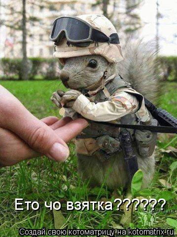 Котоматрица: Ето чо взятка??????