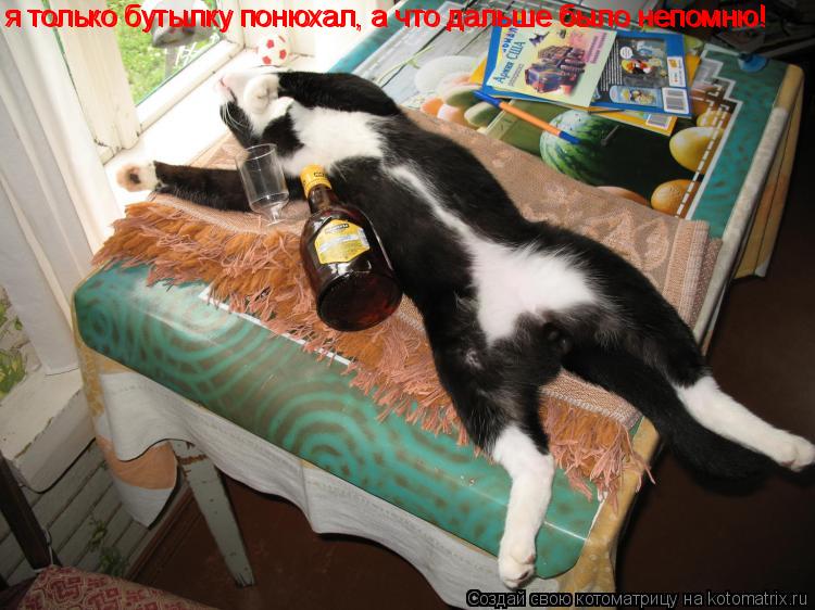 я только бутылку понюхал, а что дальше было непомню! я только бутылку понюхал, а что дальше было непо... Котоматрица: я только бутылку понюхал, а что дальше было непомню! я только бутылку понюхал, а что дальше было непомню!
