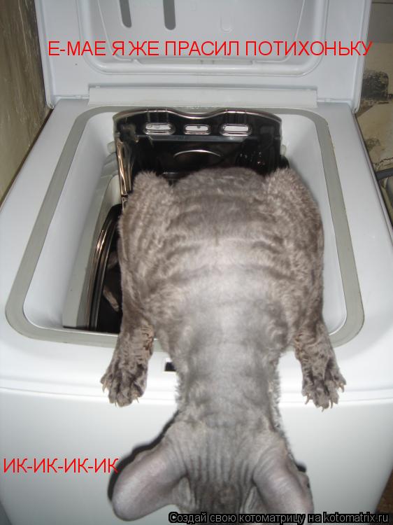 Котоматрица: Е-МАЕ Я ЖЕ ПРАСИЛ ПОТИХОНЬКУ ИК-ИК-ИК-ИК