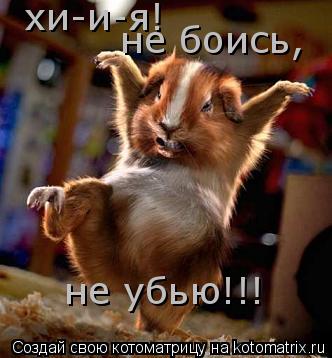 Котоматрица: хи-и-я! не боись, не убью!!!