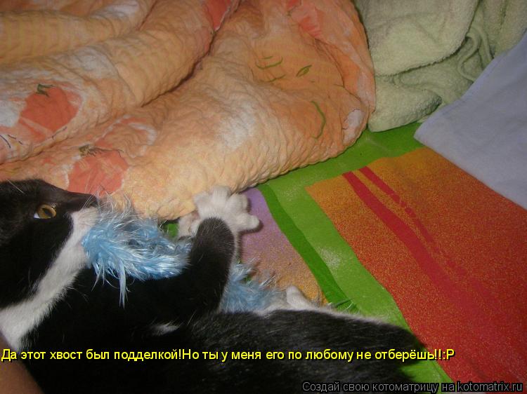 Да этот хвост был подделкой!Но ты у меня его по любому не отберёшь!!:Р... Котоматрица: Да этот хвост был подделкой!Но ты у меня его по любому не отберёшь!!:Р