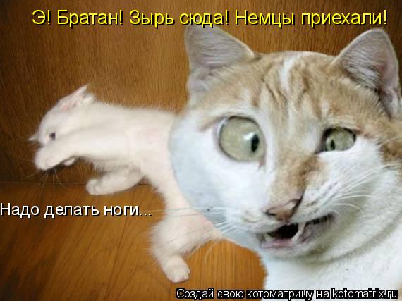 Котоматрица: Э! Братан! Зырь сюда! Немцы приехали! Надо делать ноги...