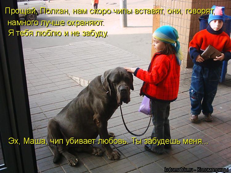 Прощай, Полкан, нам скоро чипы вставят, они, говорят, намного лучше охраняют. Я тебя люблю и не заб... Котоматрица: Прощай, Полкан, нам скоро чипы вставят, они, говорят, намного лучше охраняют. Я тебя люблю и не забуду. Эх, Маша, чип убивает любовь. Ты забуде