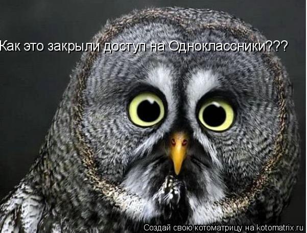 Котоматрица: Как это закрыли доступ на Одноклассники???