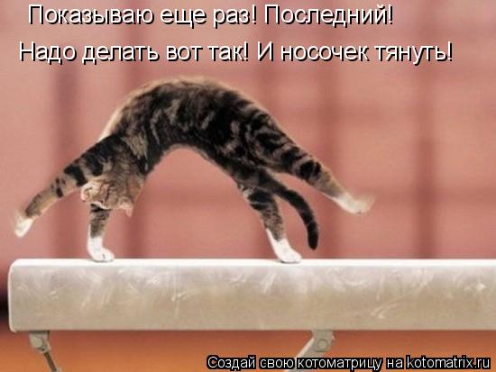 Котоматрица: Показываю еще раз! Последний! Надо делать вот так! И носочек тянуть!