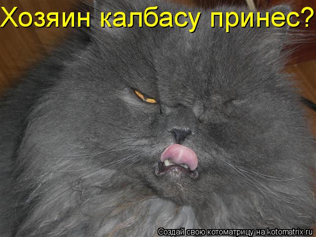 Котоматрица: Хозяин калбасу принес?